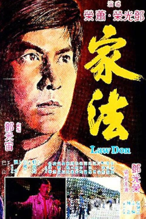 Poster di 家法