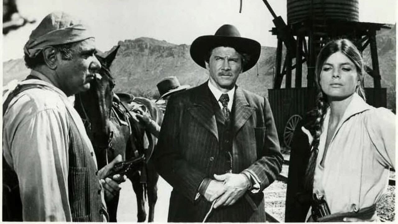 Wanted: The Sundance Woman - immagine