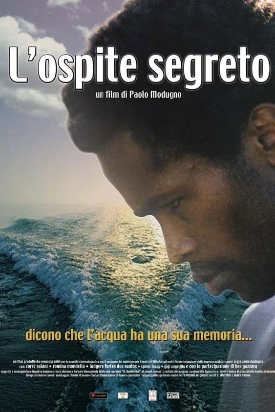 Poster di L'ospite segreto