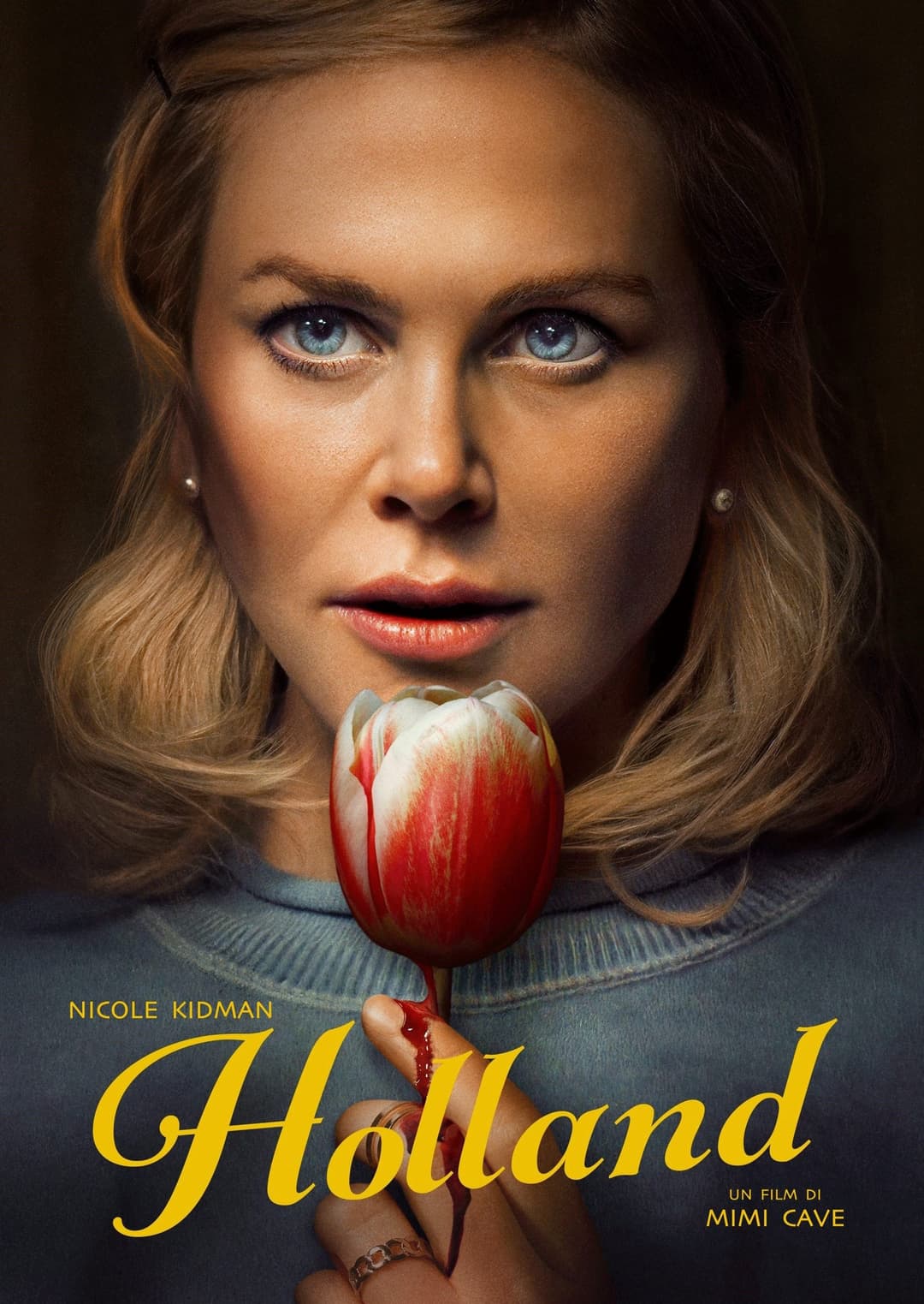 Poster di Holland