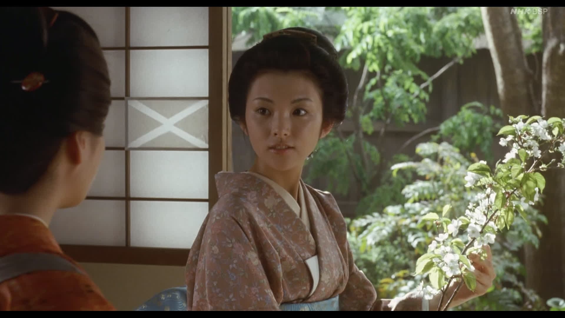山桜 - immagine