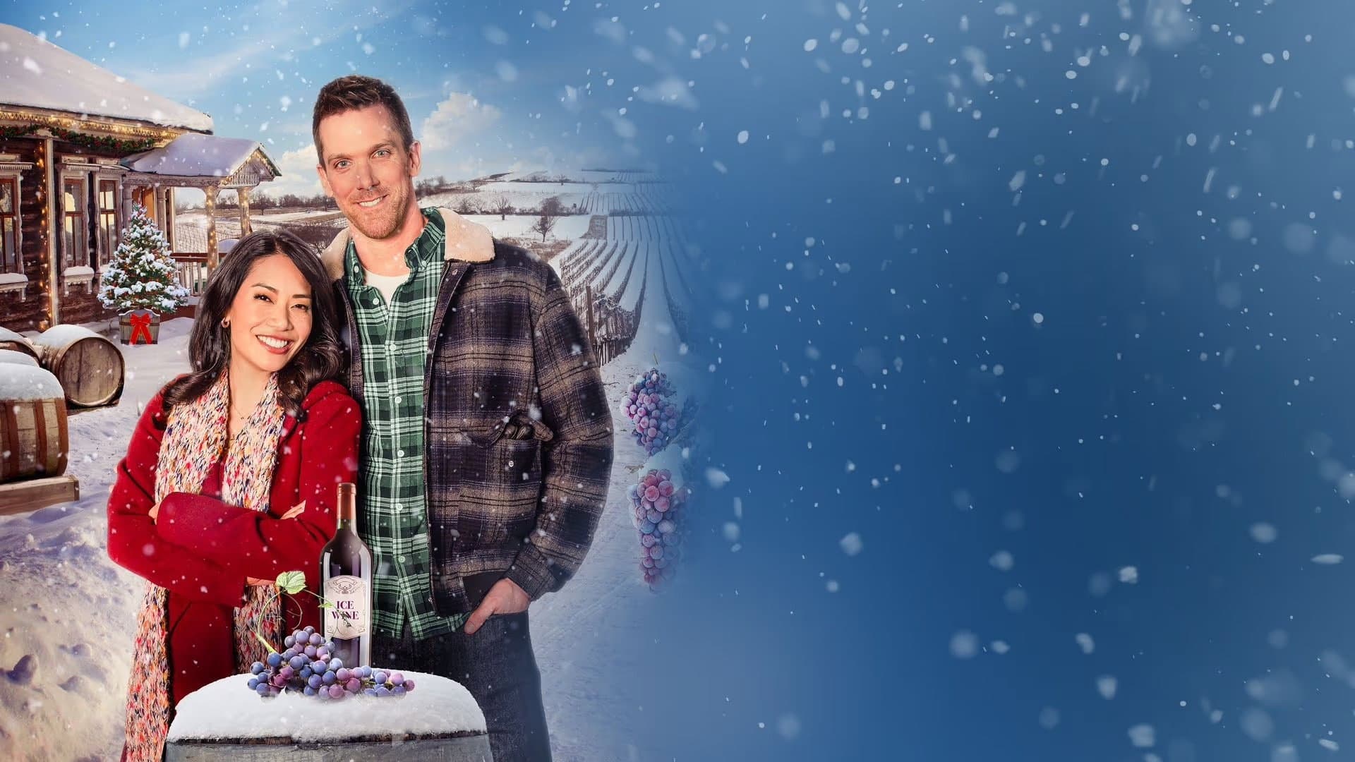 A Vineyard Christmas - immagine