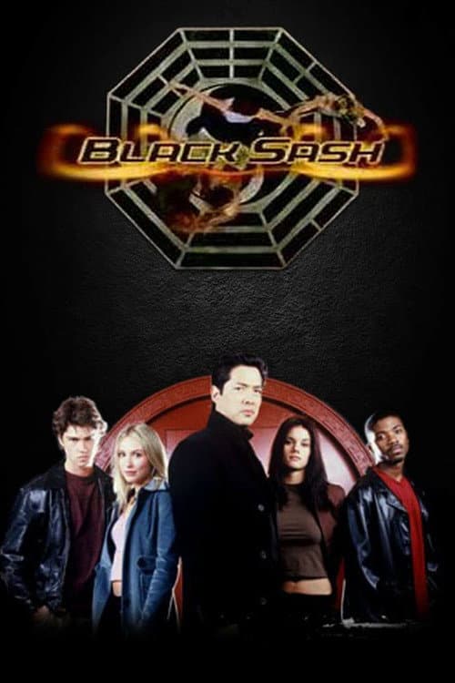 Poster di Black Sash