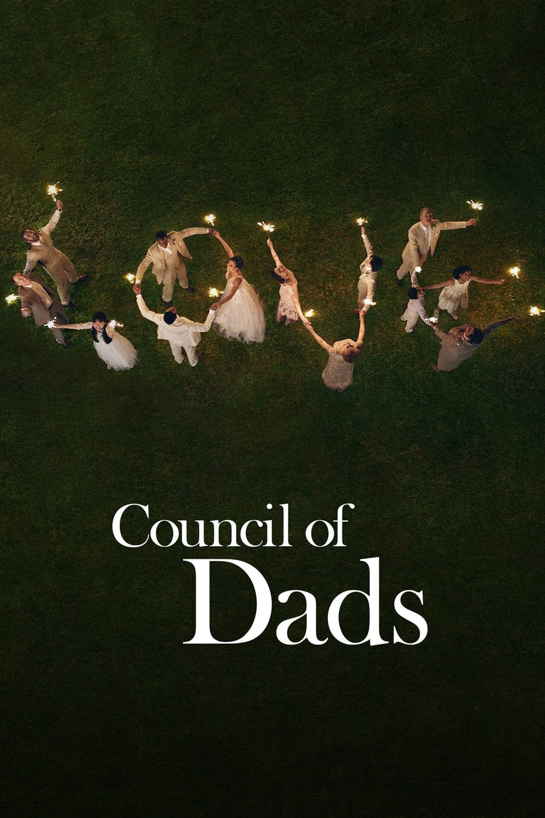 Poster di Il consiglio dei papà