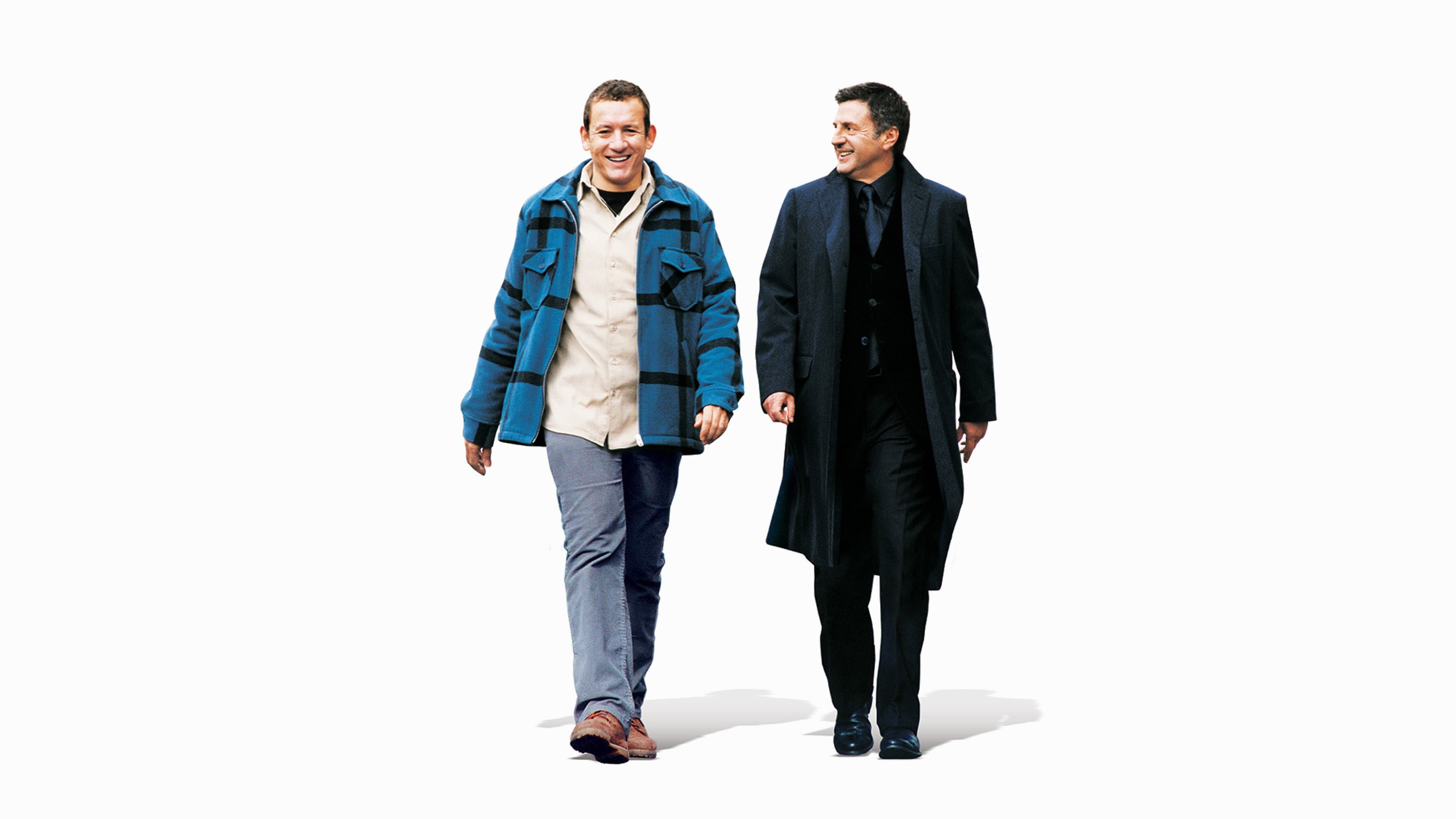 Il mio migliore amico - immagine