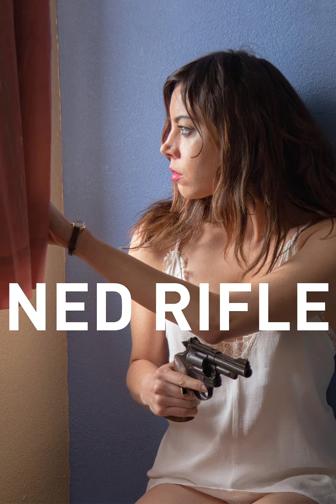 Poster di Ned Rifle