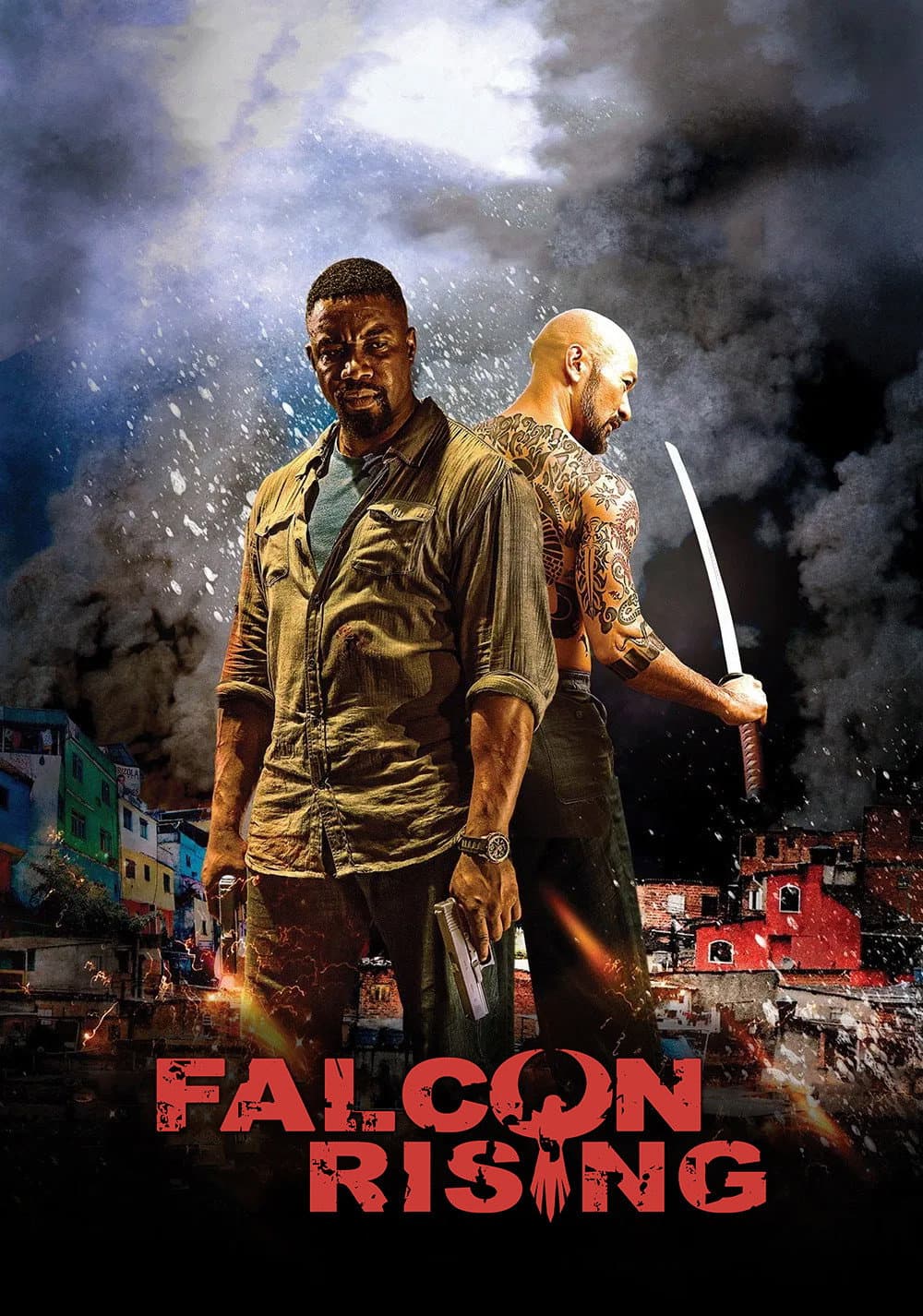Poster di Falcon Rising
