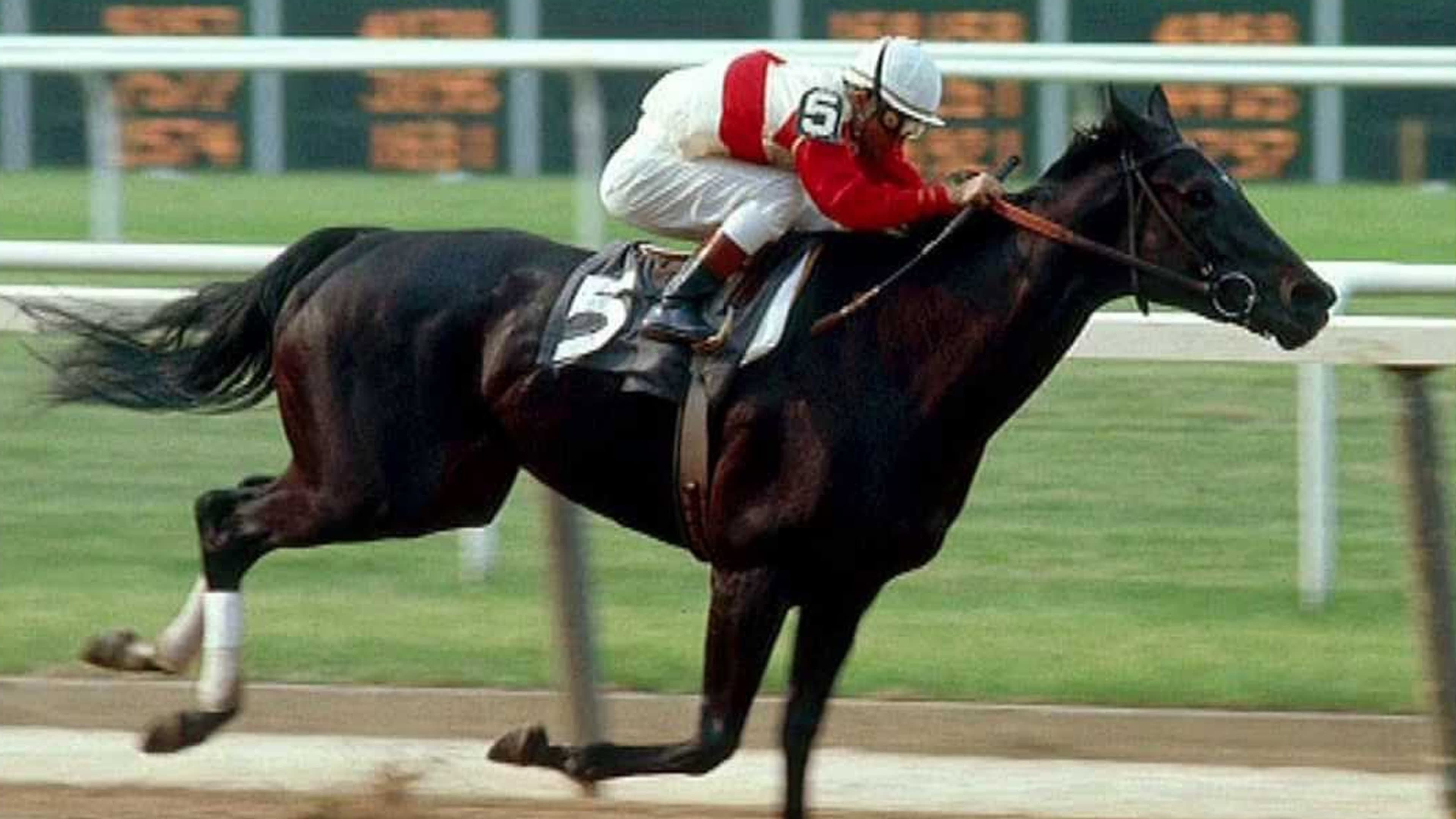 Ruffian - immagine