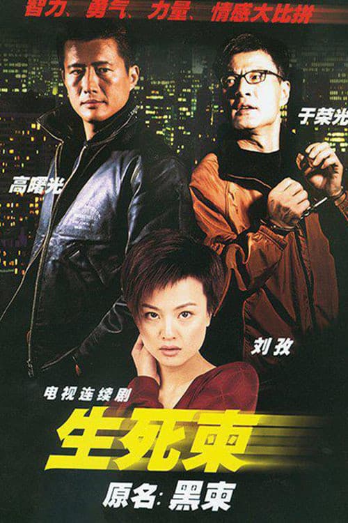 Poster di 生死柬