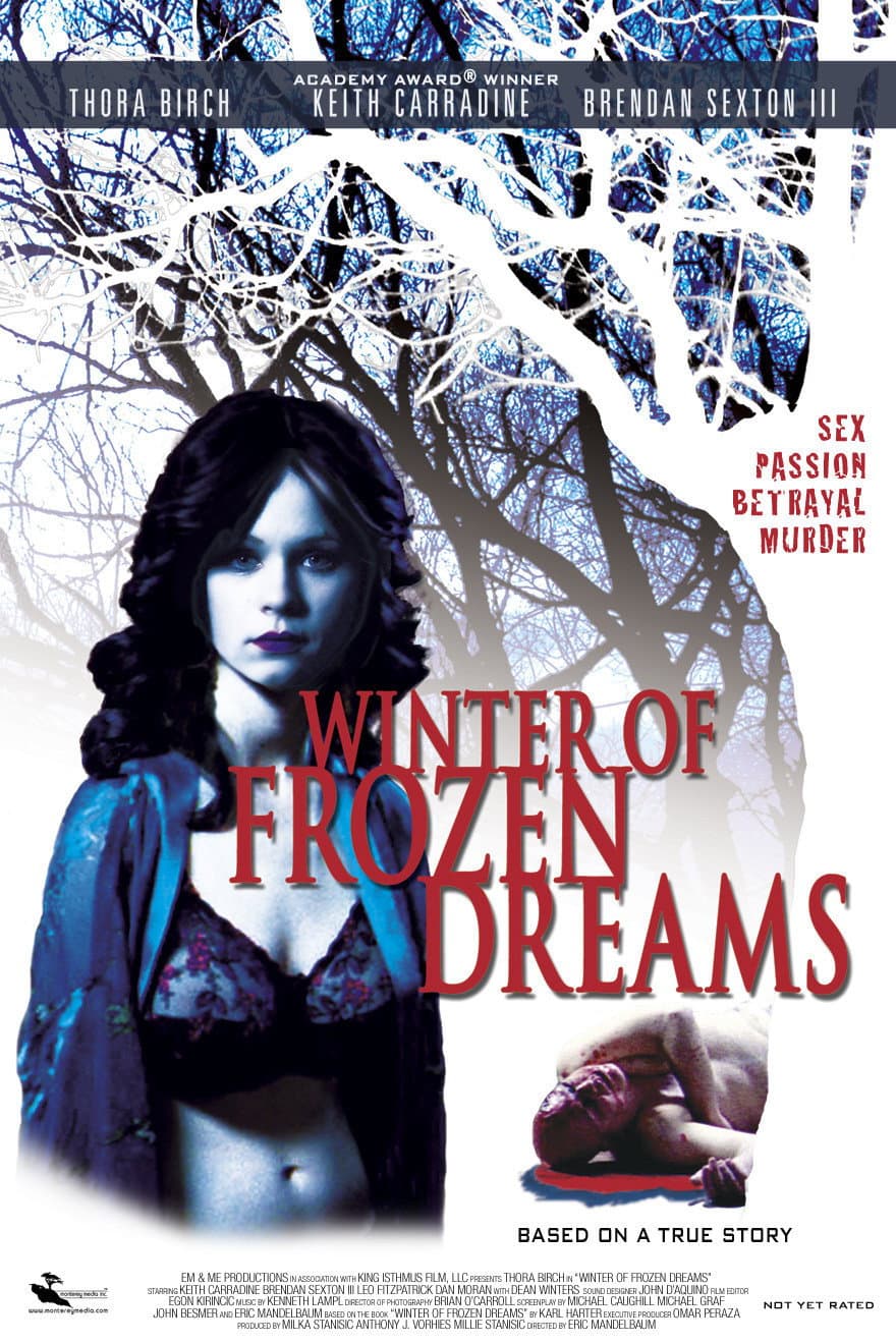 Poster di L'inverno dei sogni infranti