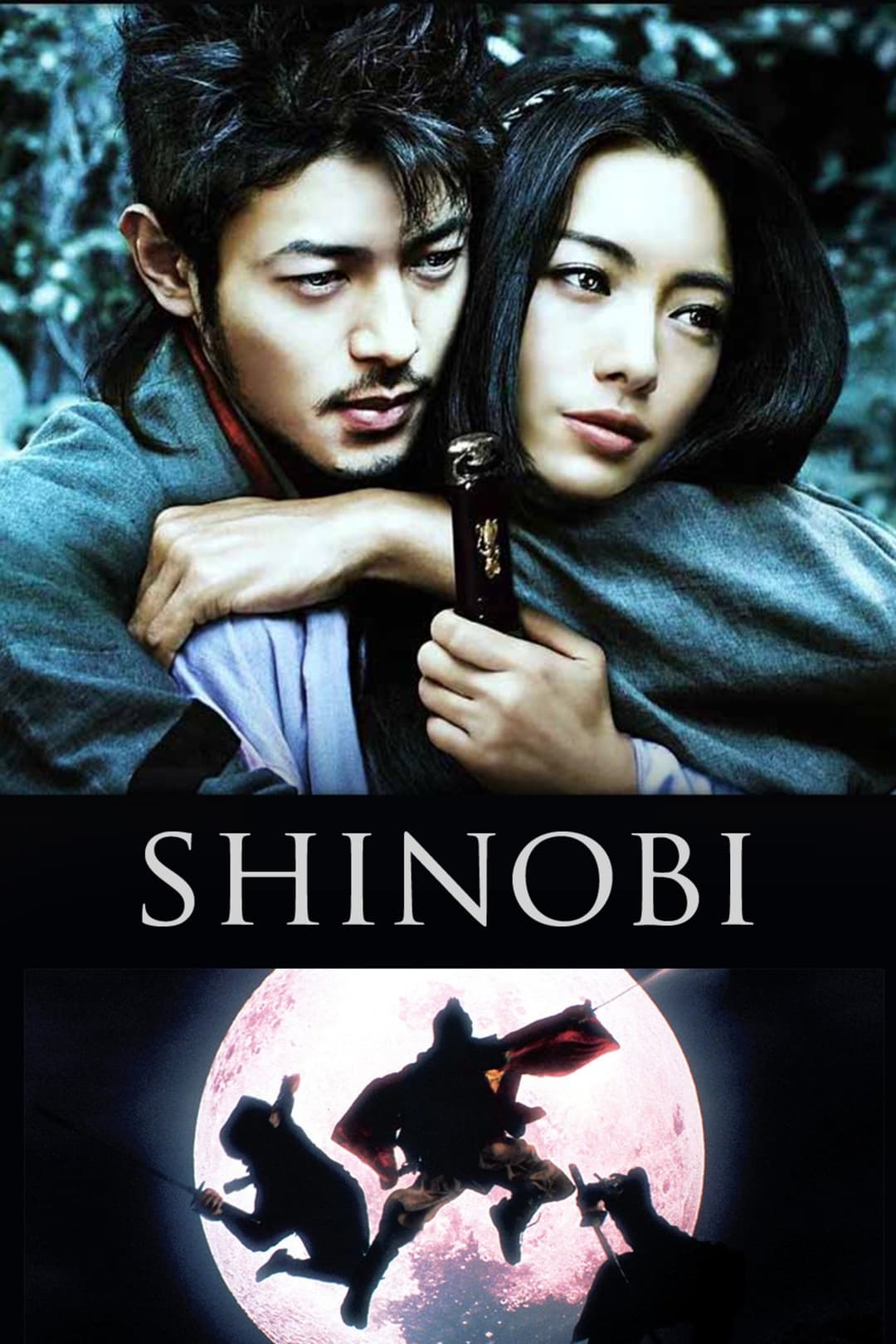 Poster di Shinobi