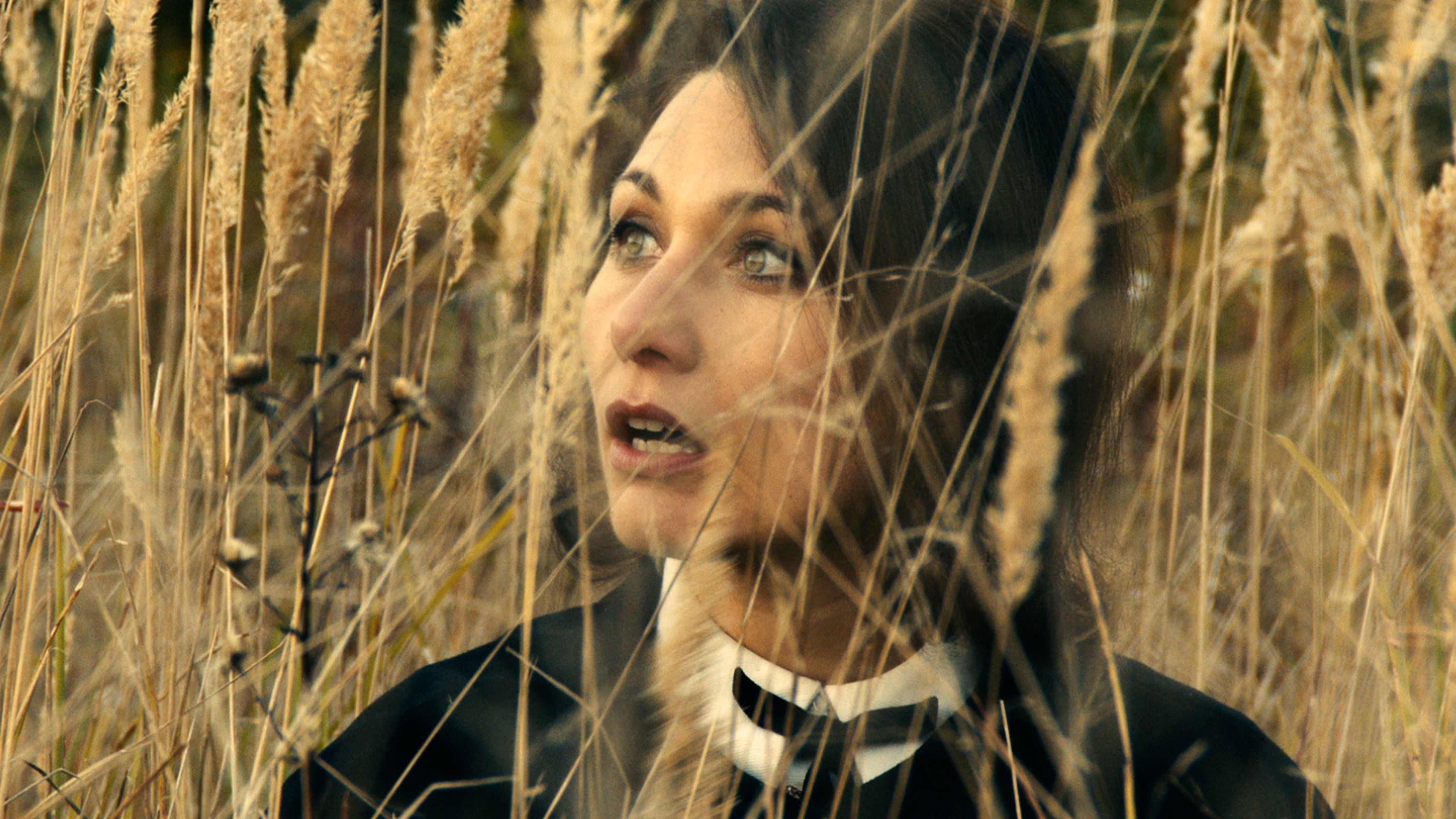 The Duke of Burgundy - immagine