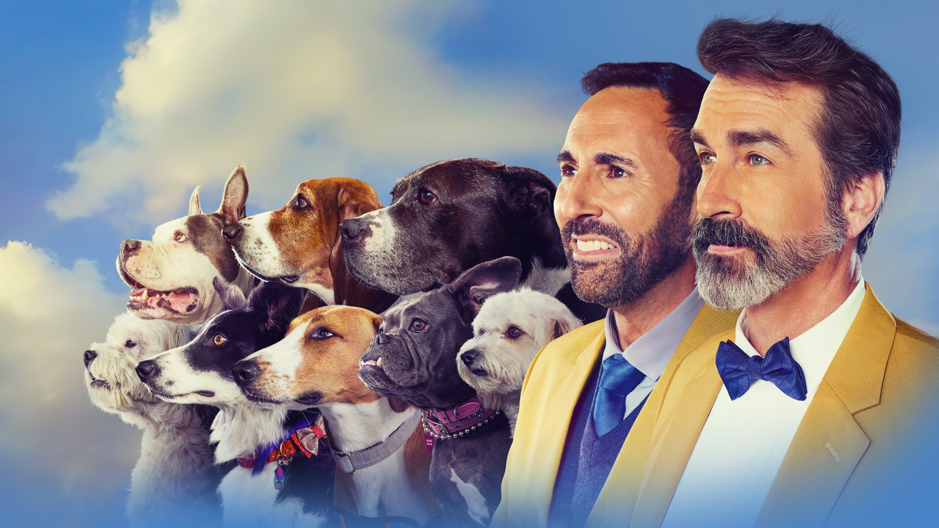 2022 American Rescue Dog Show - immagine