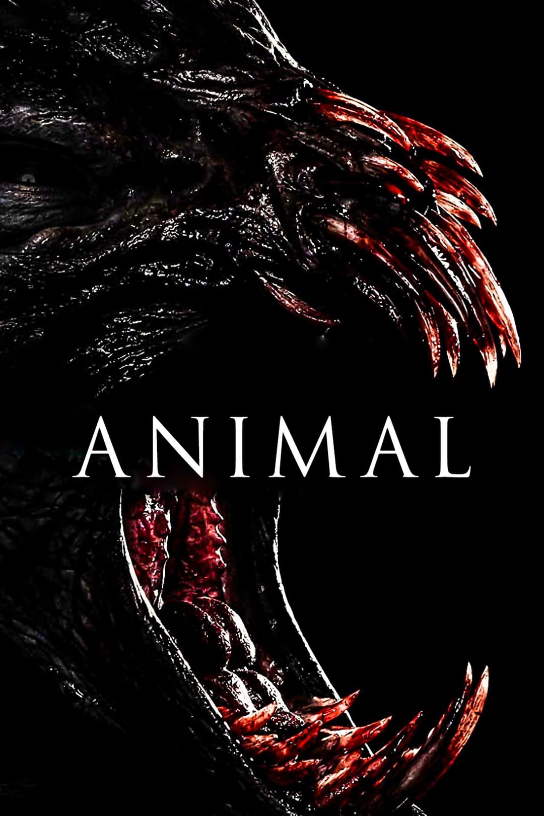Poster di Animal - Il segreto della foresta