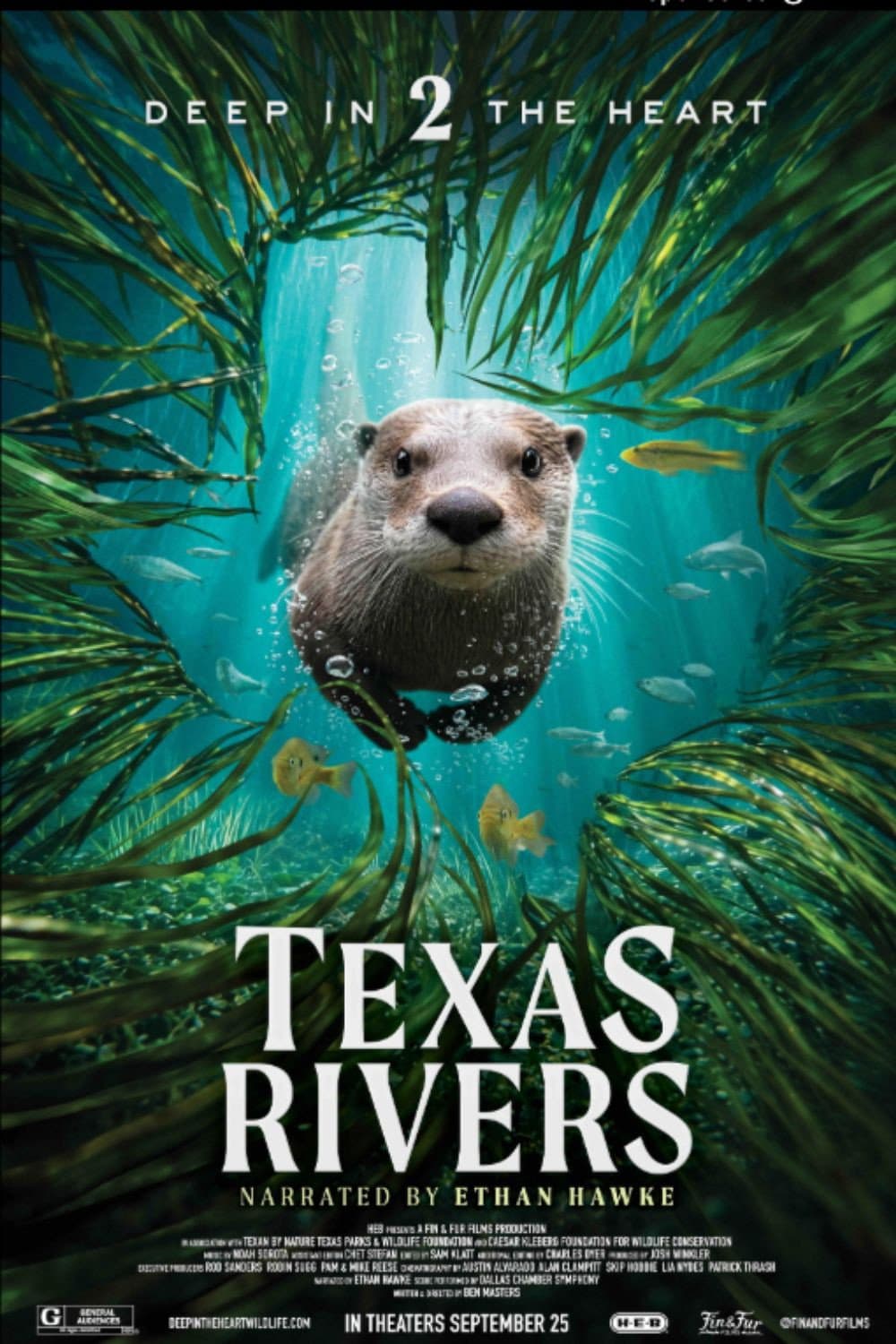 Poster di Deep in the Heart II: Texas Rivers