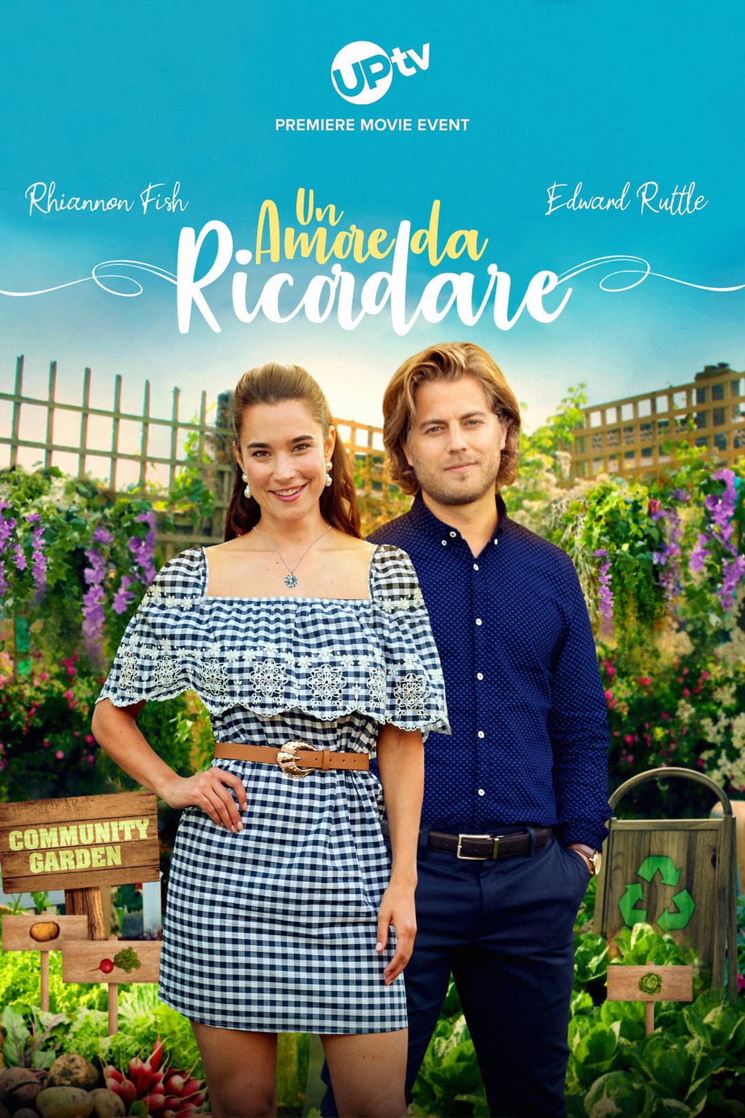 Poster di Un amore da ricordare