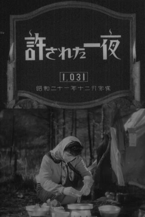 Poster di 許された一夜