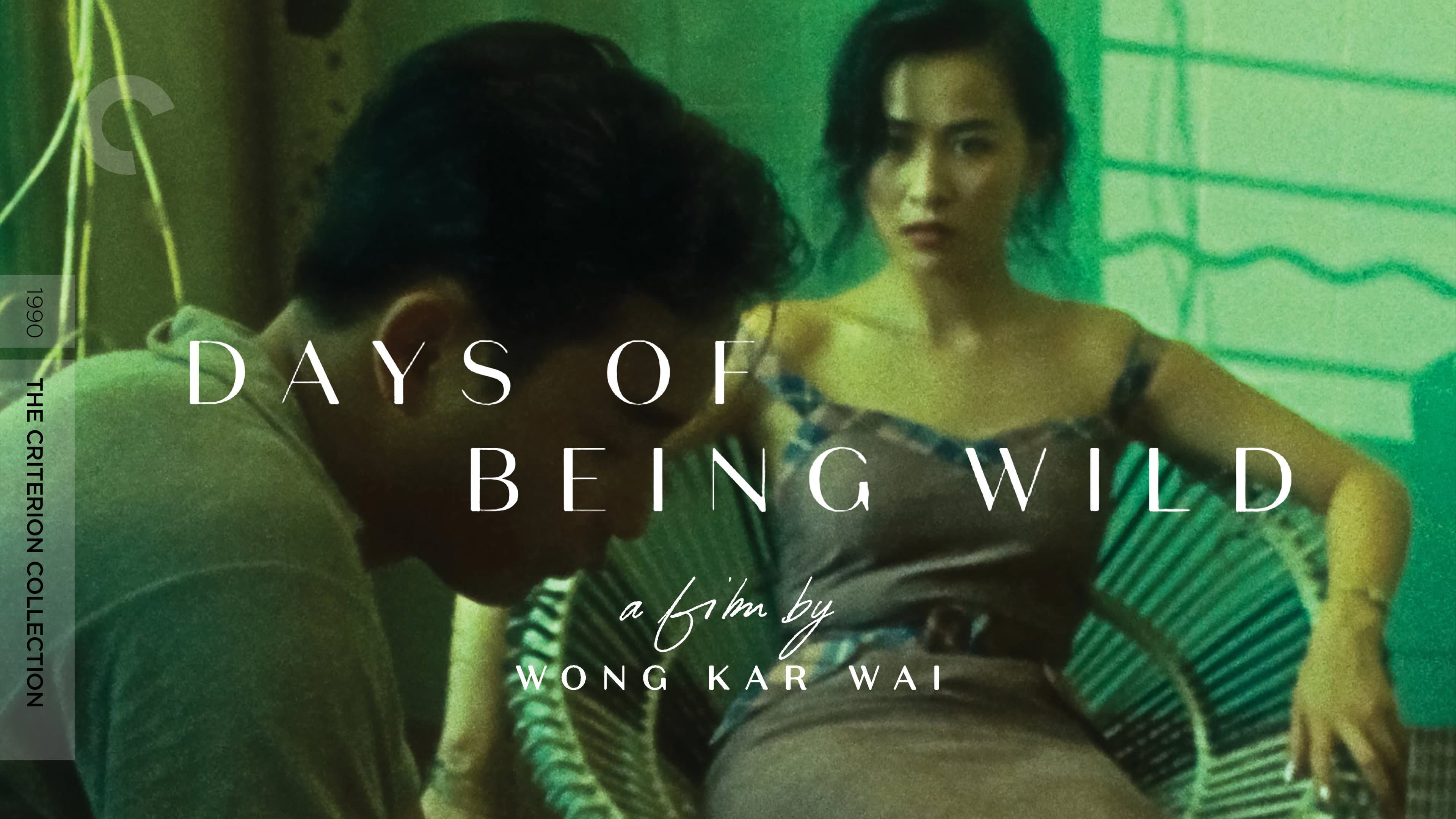 Days of Being Wild - immagine