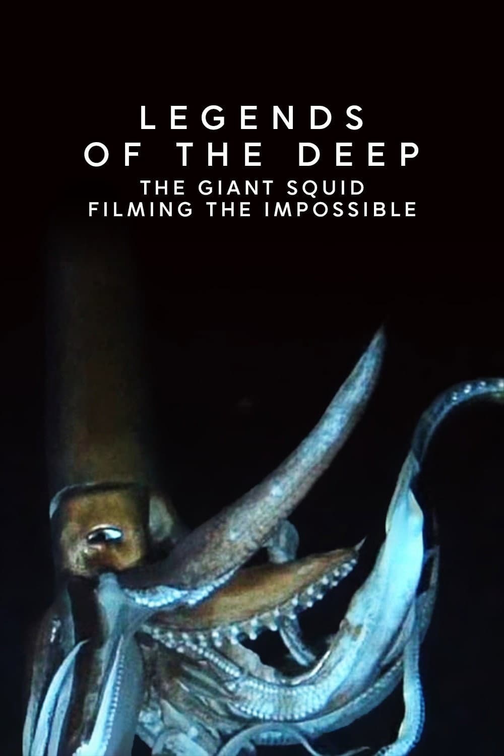 Poster di Legends of the Deep: The Giant Squid