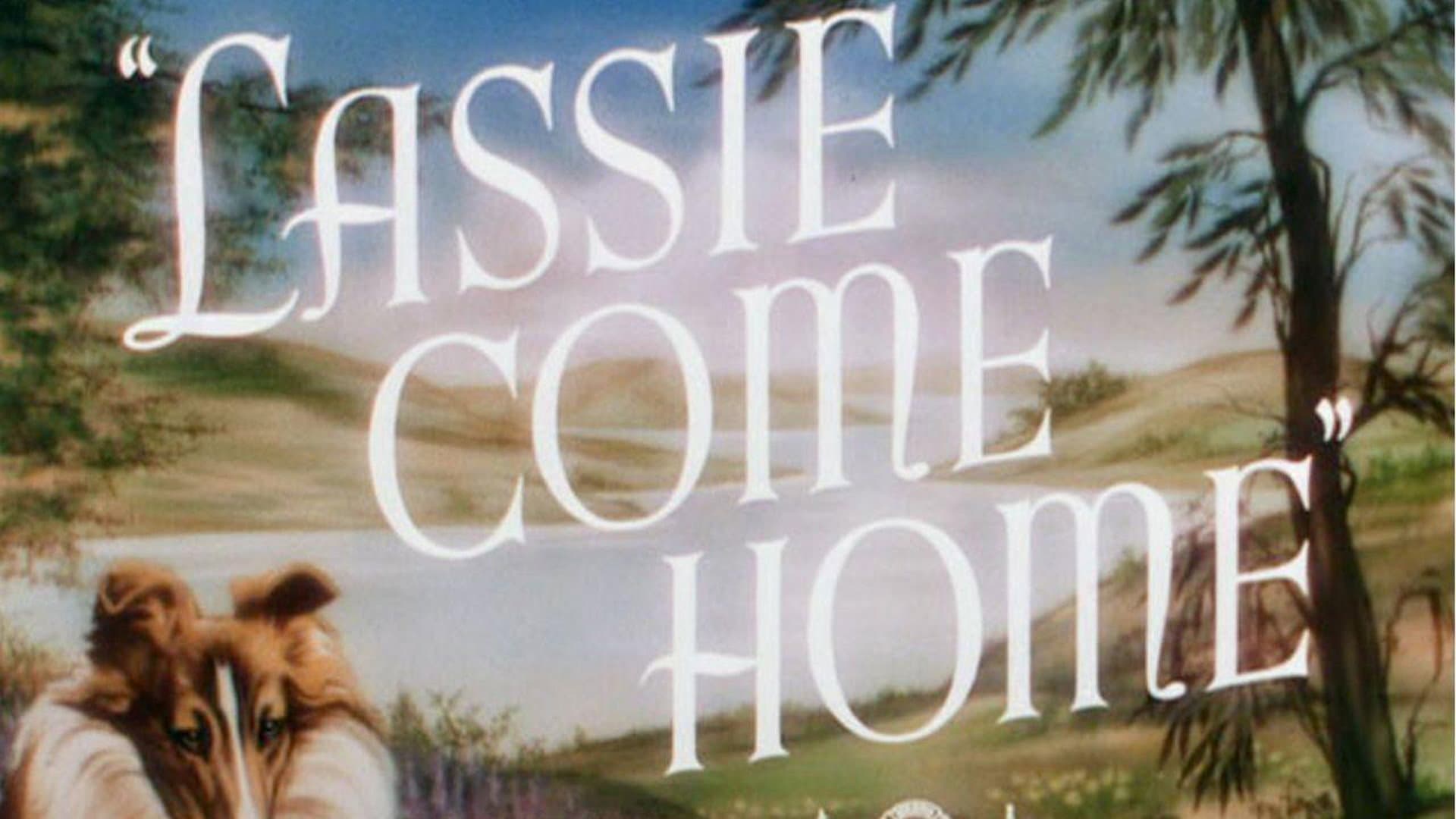 Torna a casa Lassie! - immagine