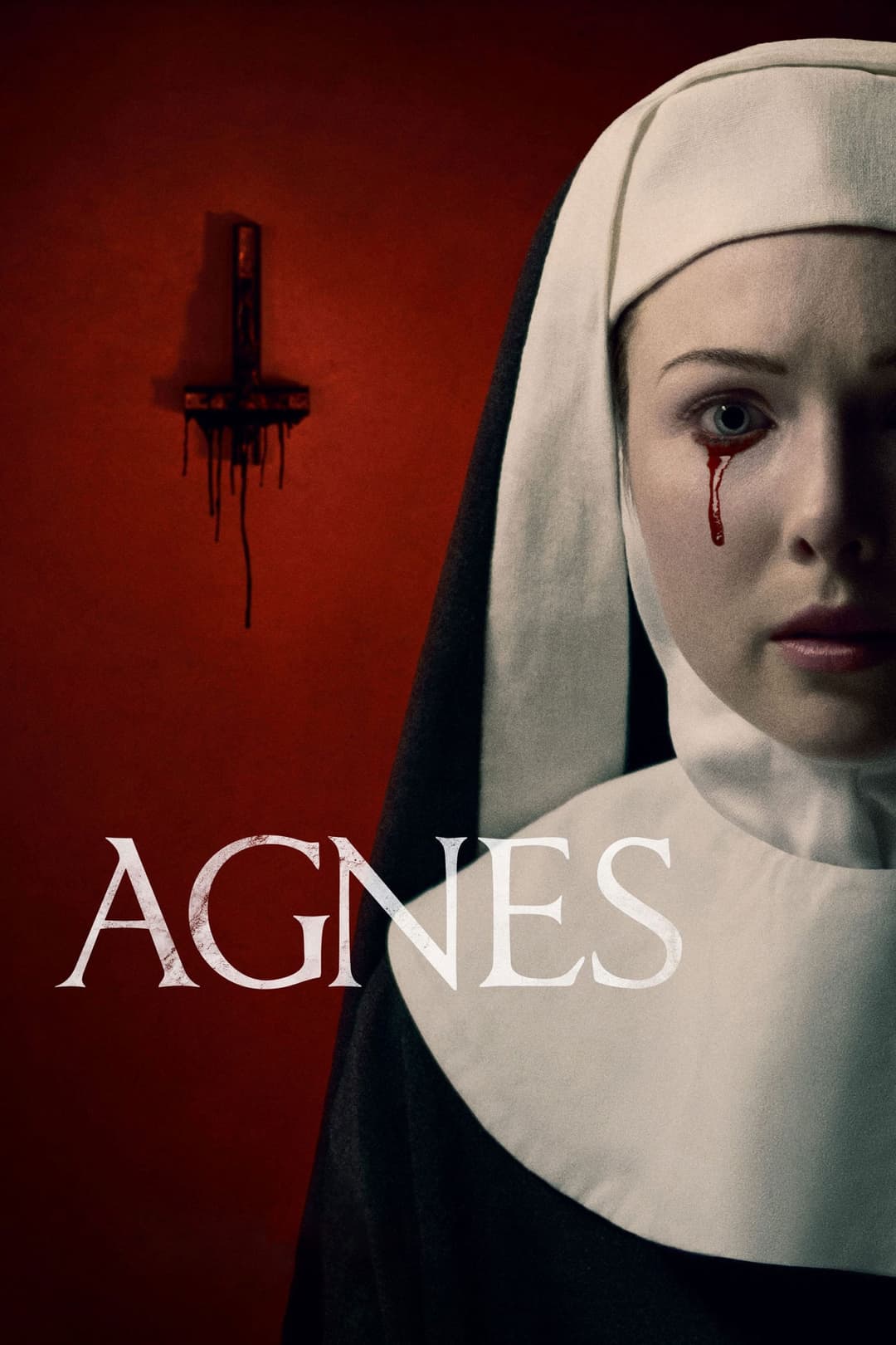 Poster di Agnes