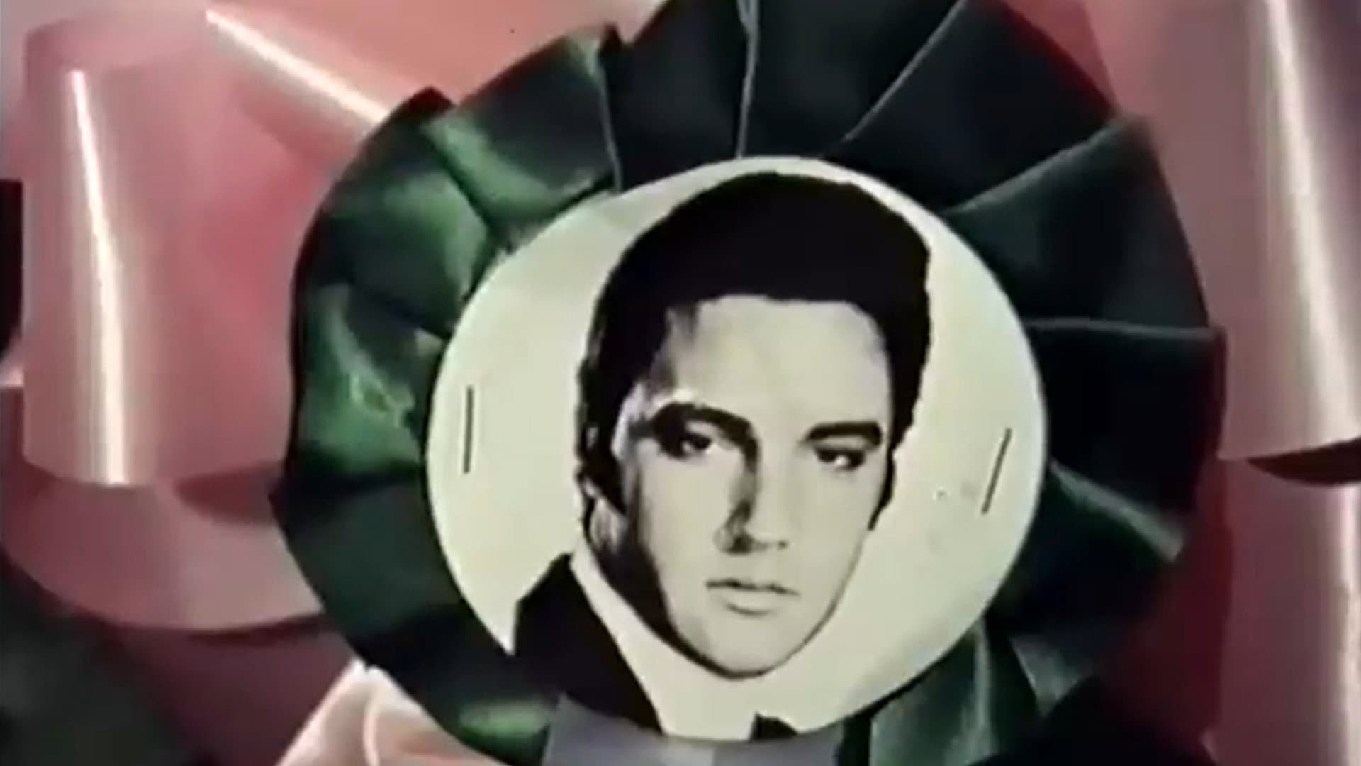 Elvis - He Touched Their Lives - immagine