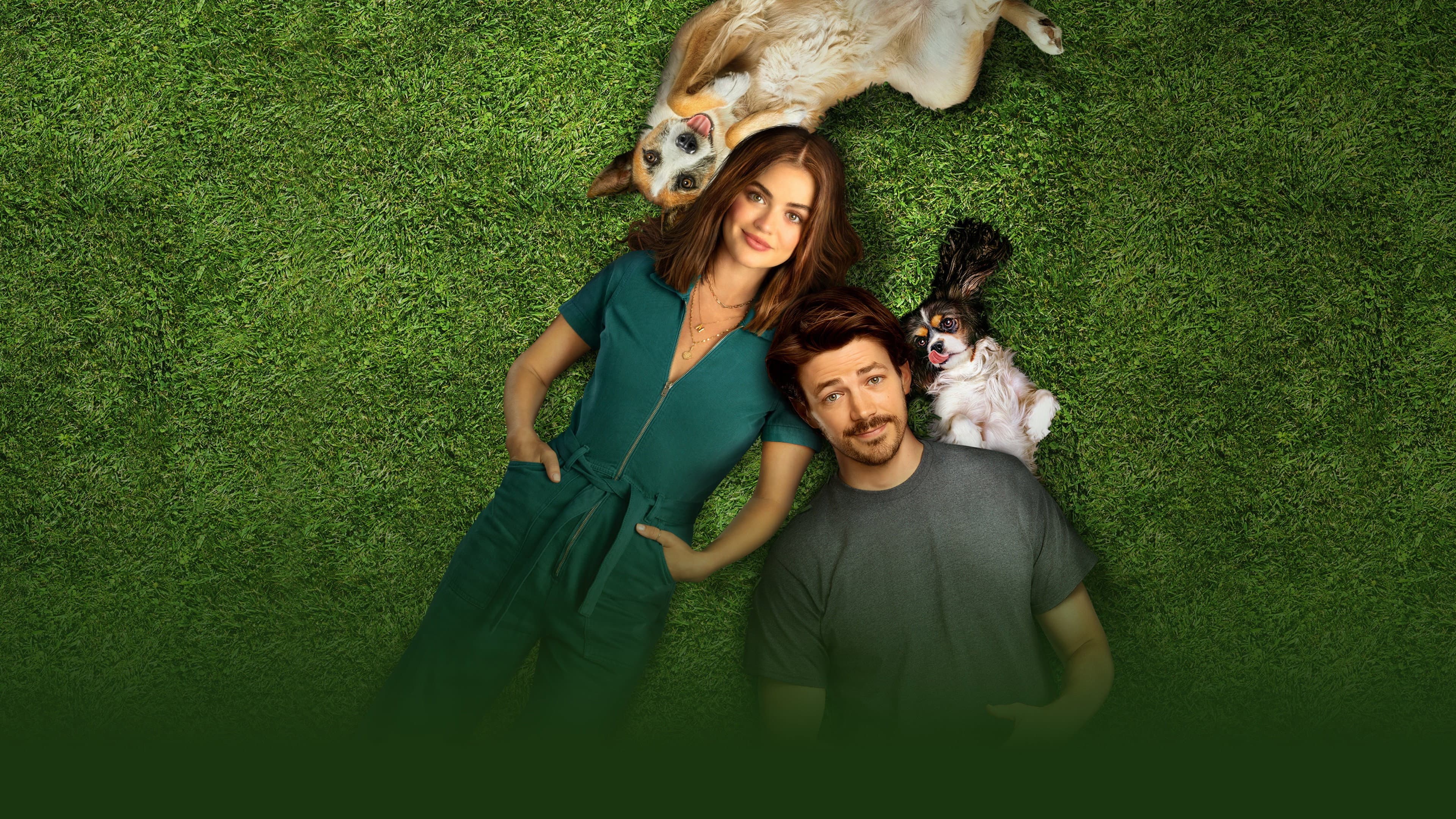 Una famiglia di cuccioli - immagine