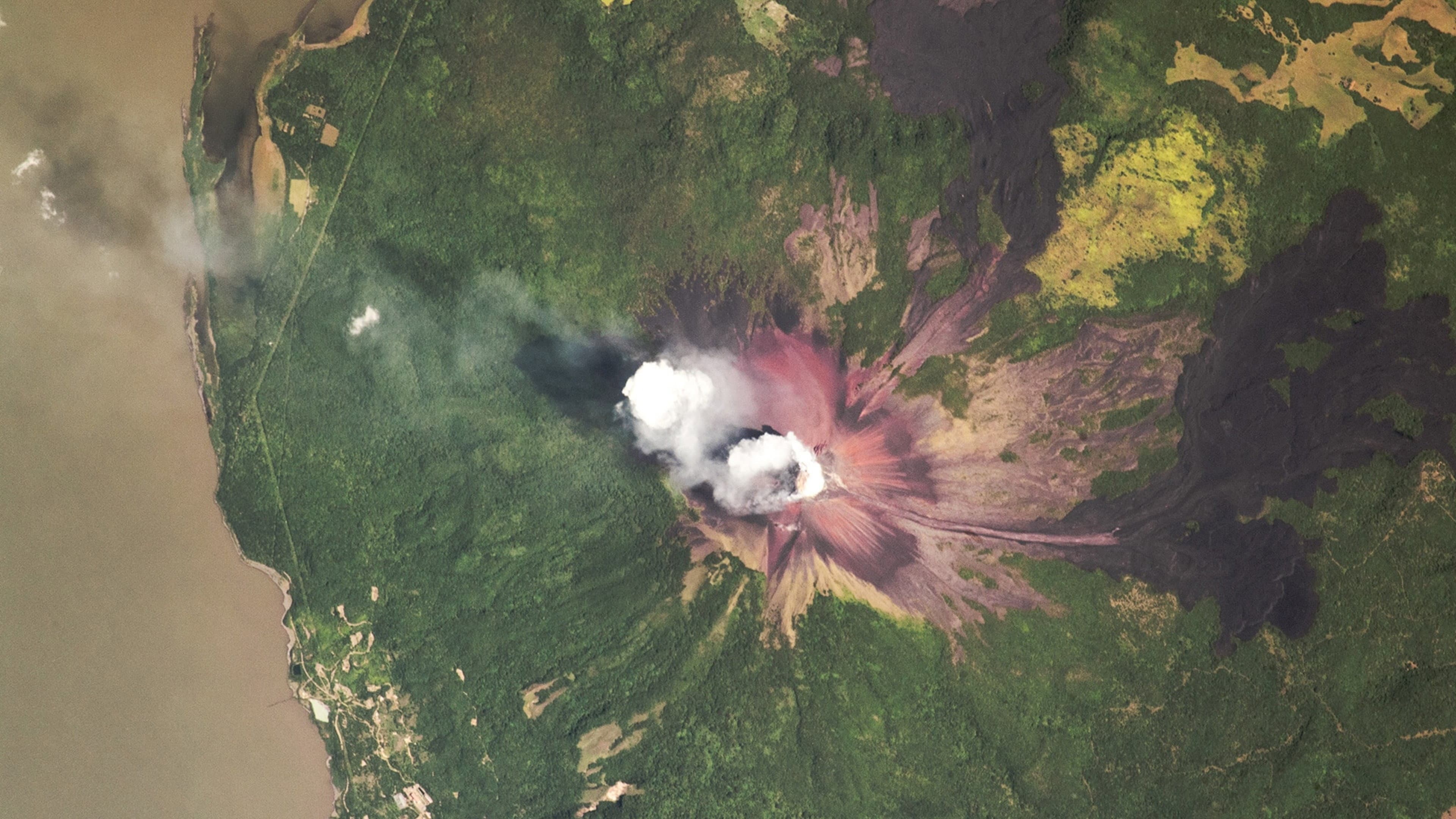 2025: The Year from Space - immagine