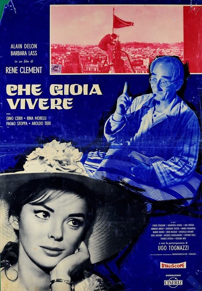 Poster di Che gioia vivere!