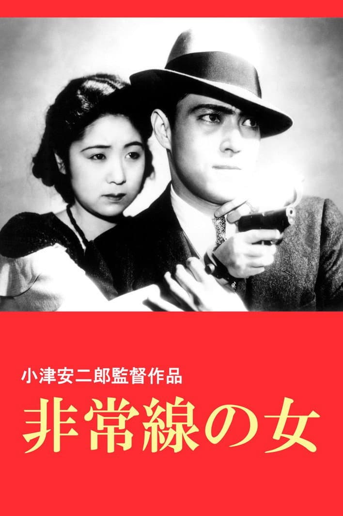 Poster di La donna della retata