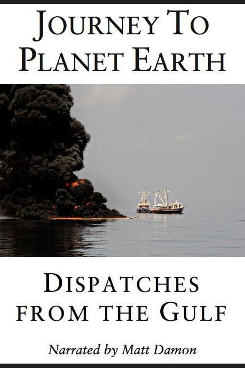 Poster di Dispatches from the Gulf