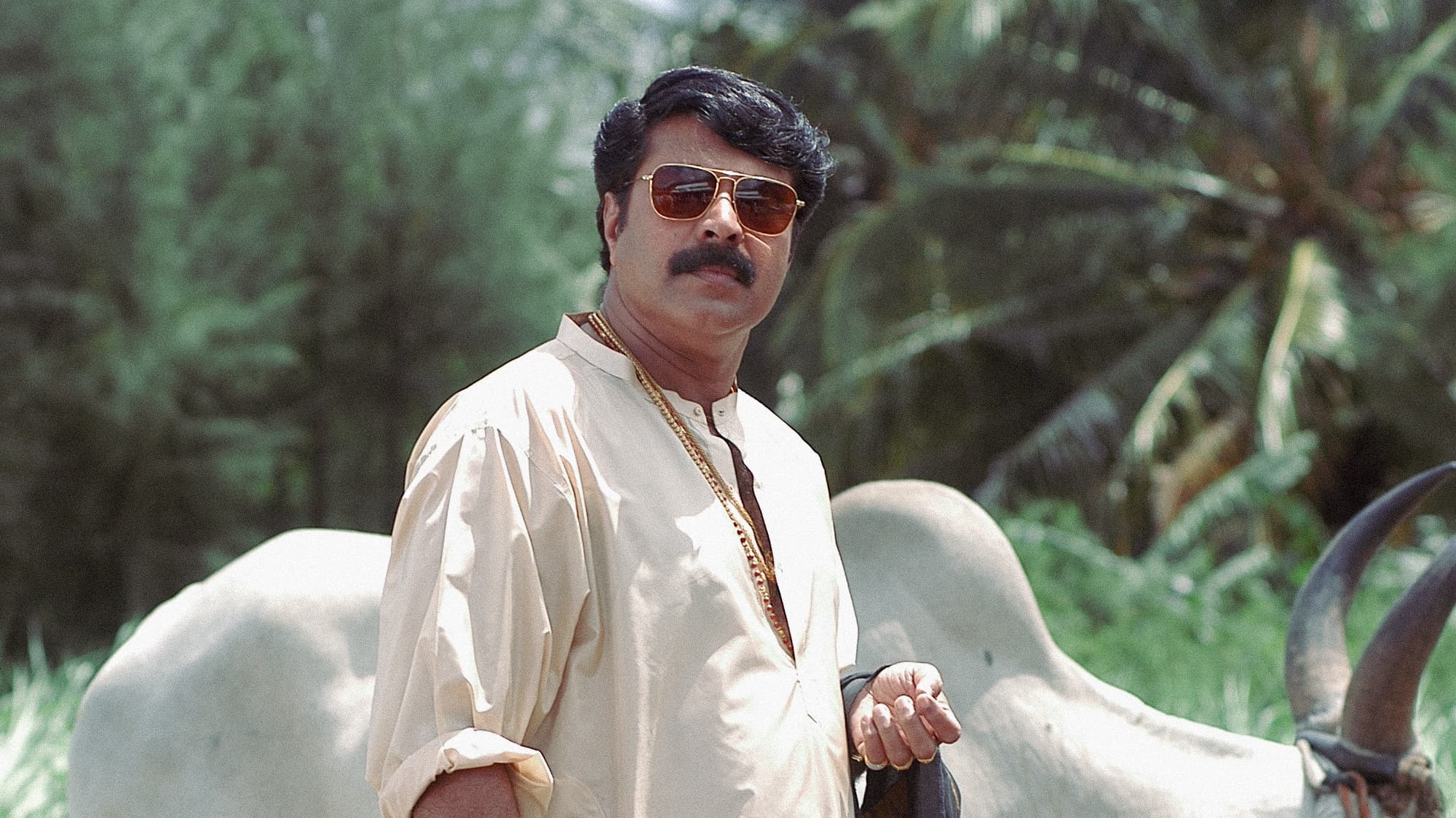 രാജമാണിക്യം - immagine