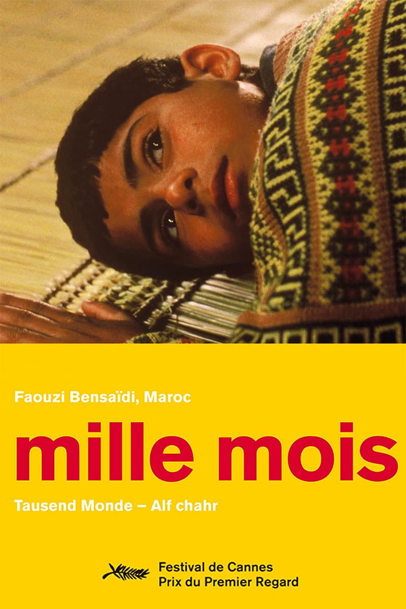 Poster di Mille Mesi