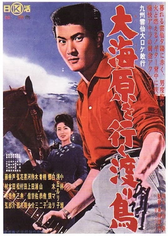 Poster di 大海原を行く渡り鳥