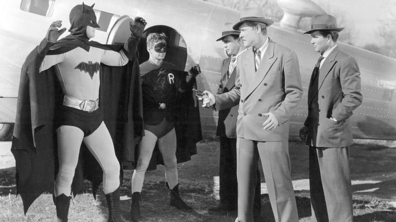 Batman and Robin - immagine