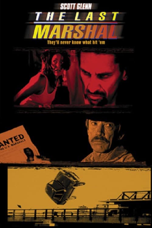 Poster di The Last Marshal