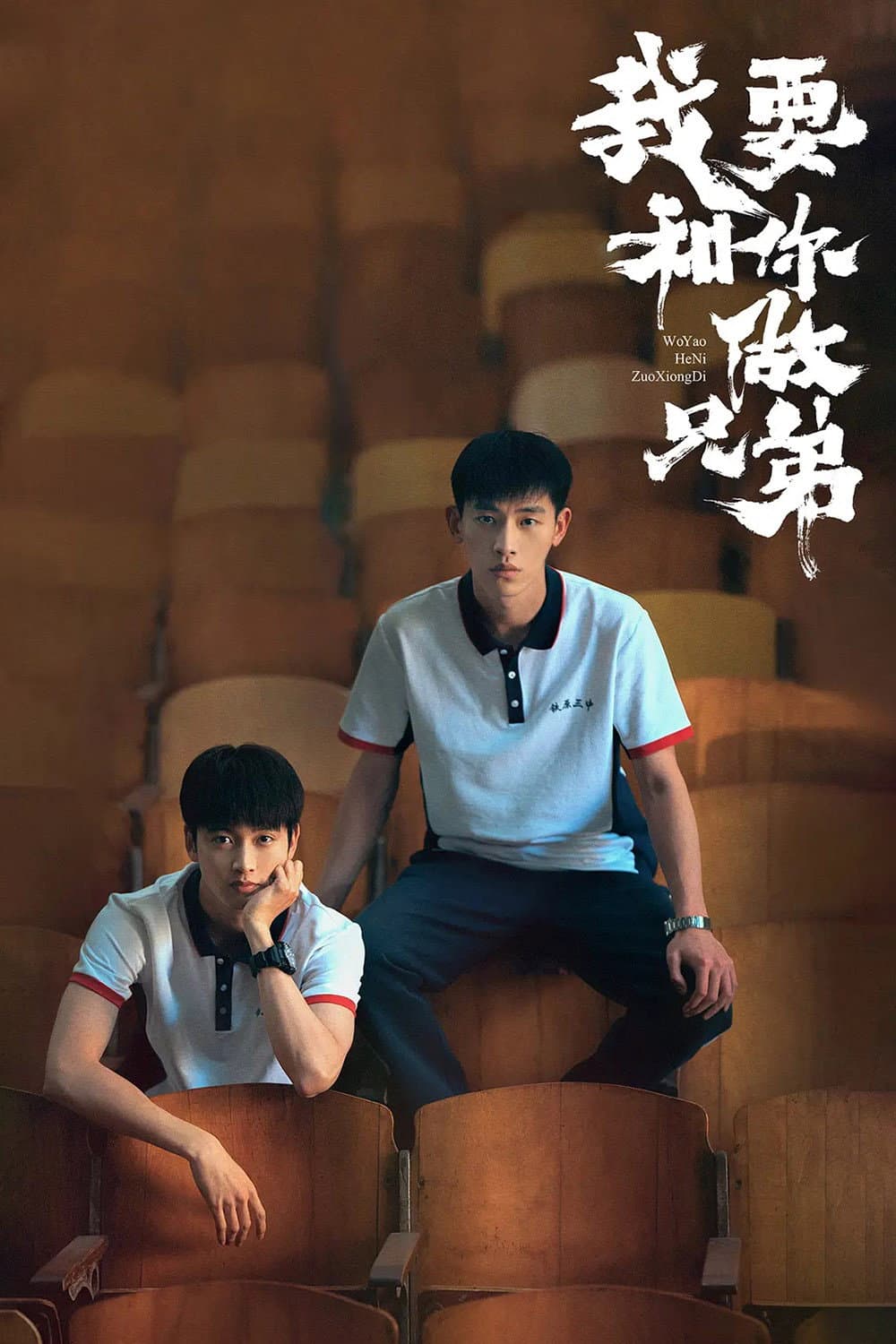Poster di 我要和你做兄弟