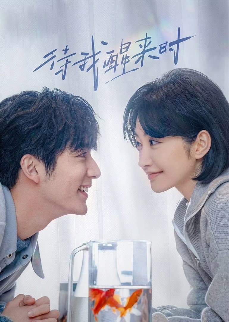 Poster di 待我醒来时