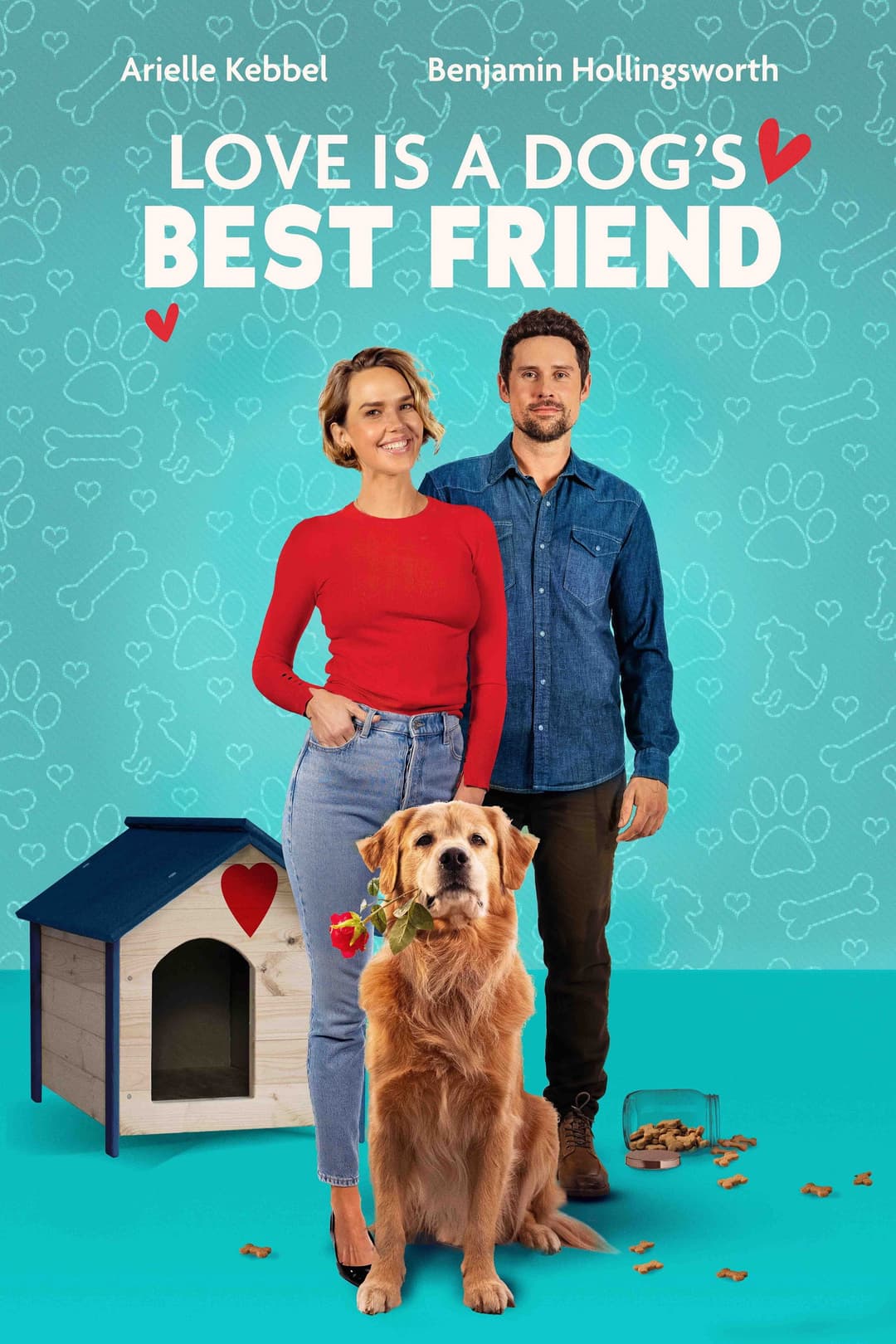 Poster di L'amore secondo Valentine