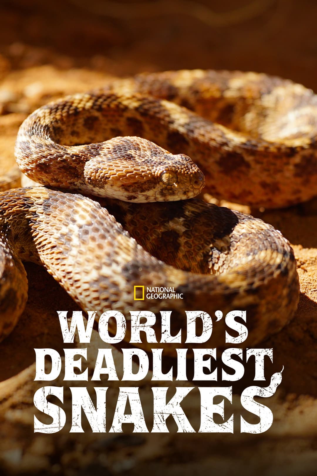 Poster di World's Deadliest Snakes