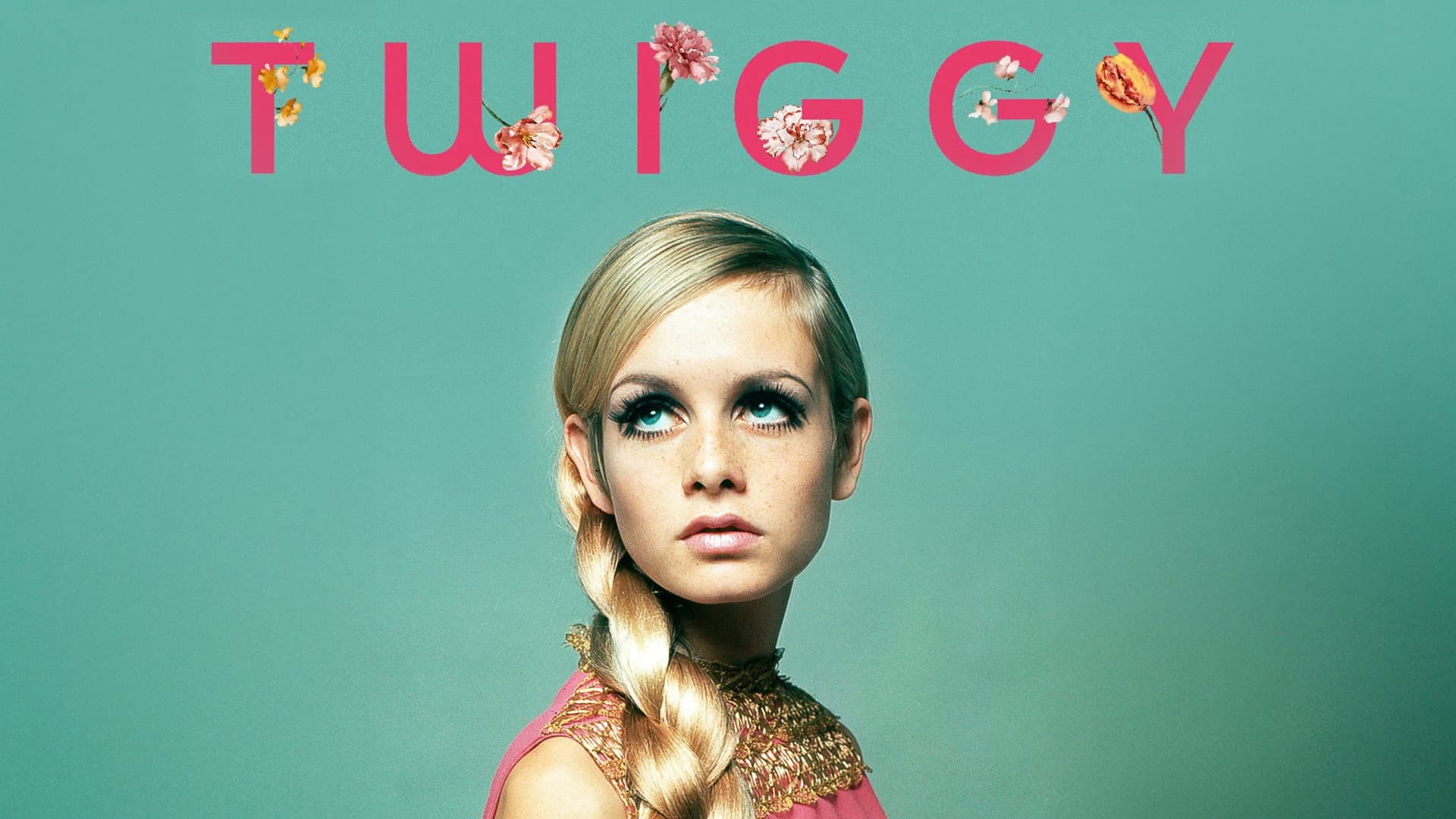 Twiggy - immagine