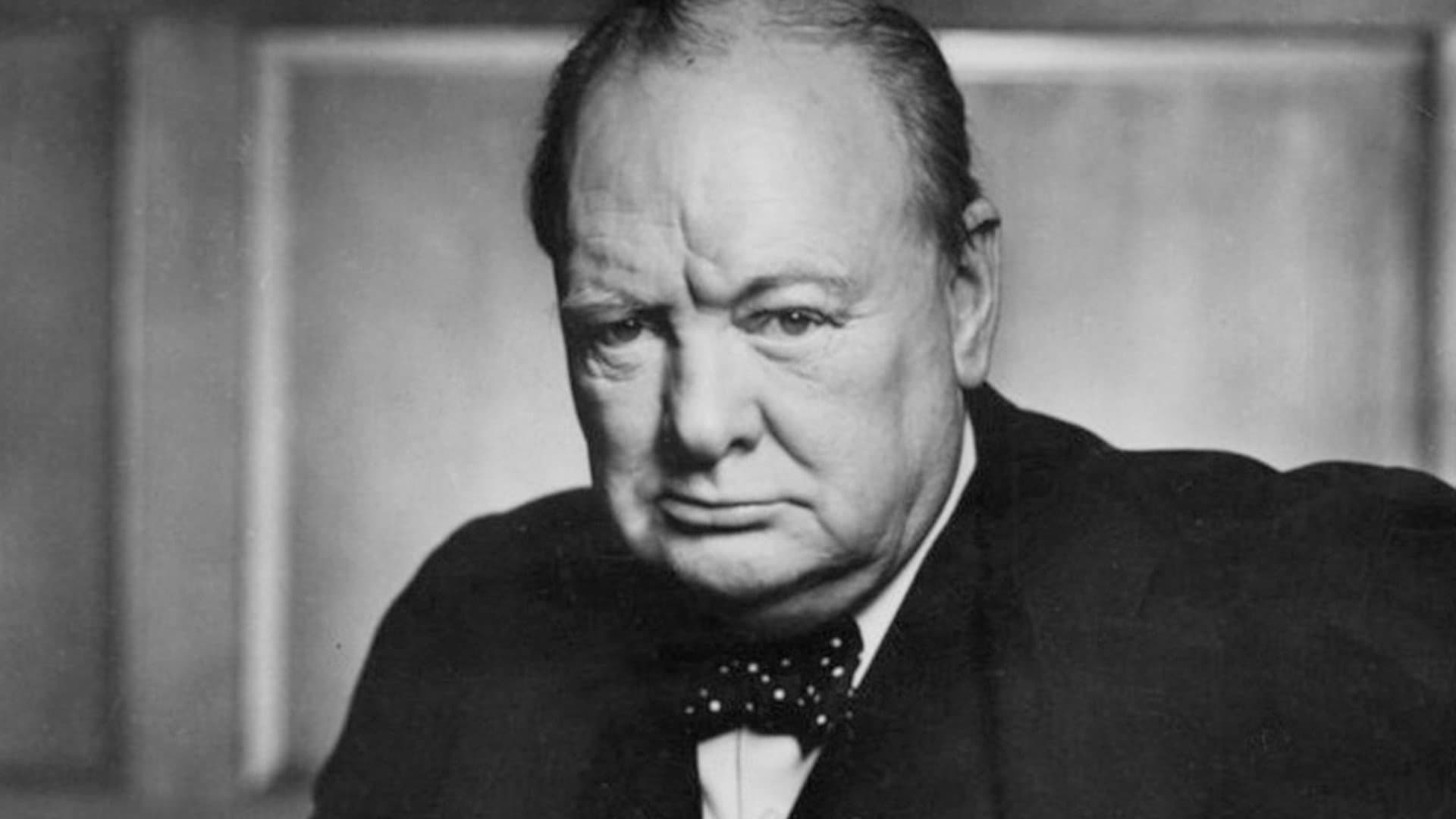Winston Churchill: Walking with Destiny - immagine