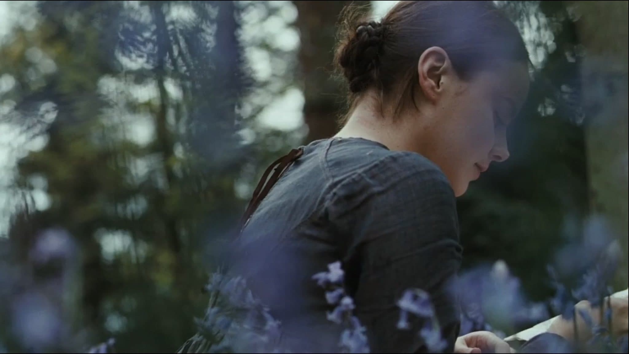 Bright Star - immagine