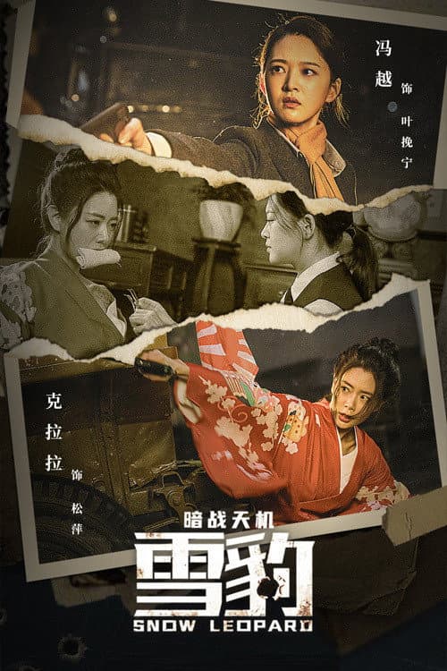 Poster di 雪豹之暗战天机