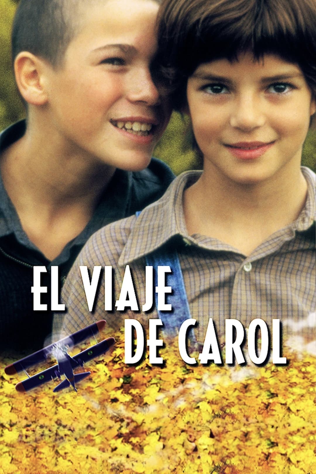 Poster di Il viaggio di Carol