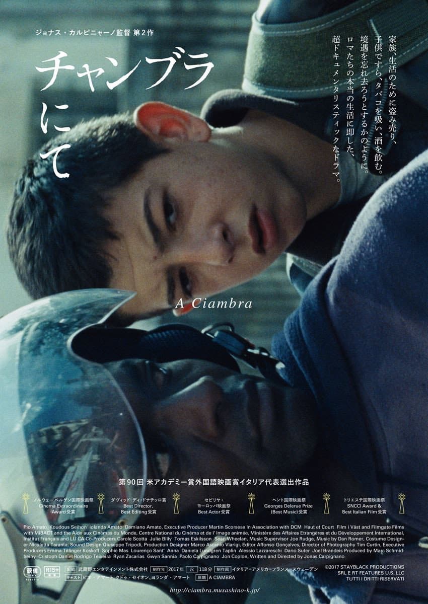 Poster di A Ciambra