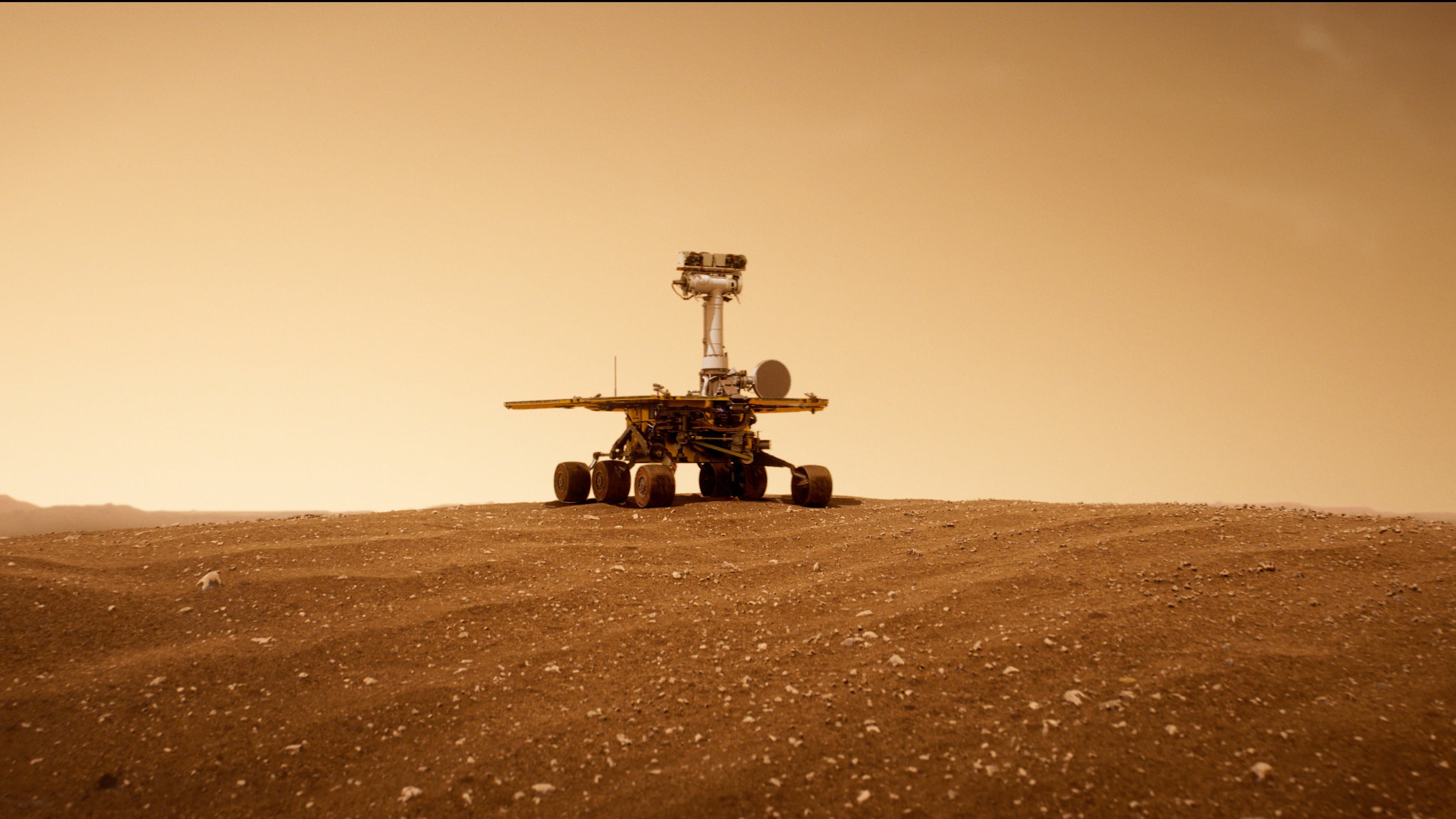 Buonanotte Oppy - immagine