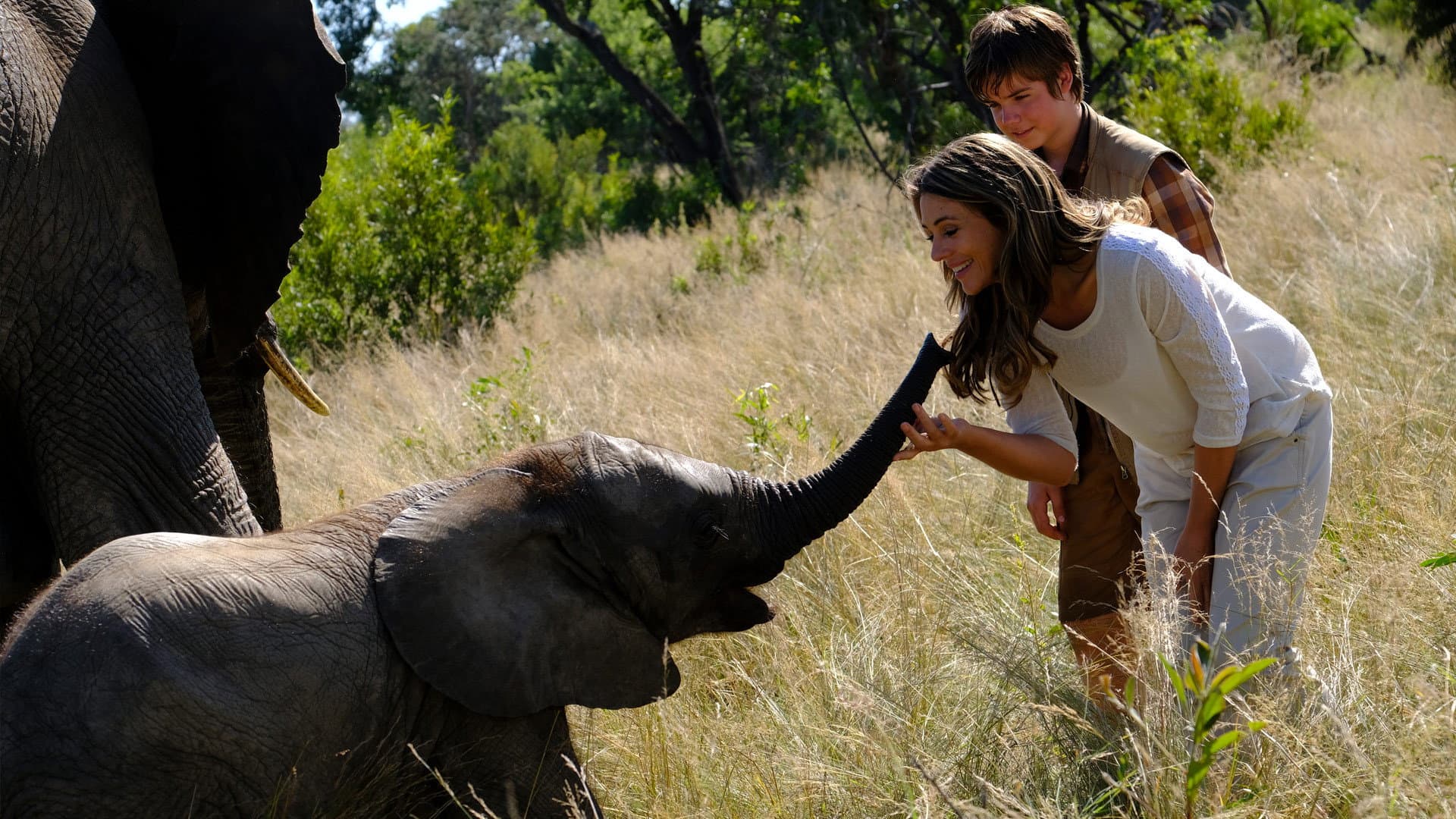 Il ragazzo e il grande elefante - immagine