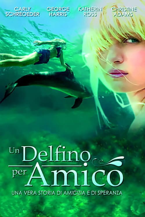 Poster di Un delfino per amico