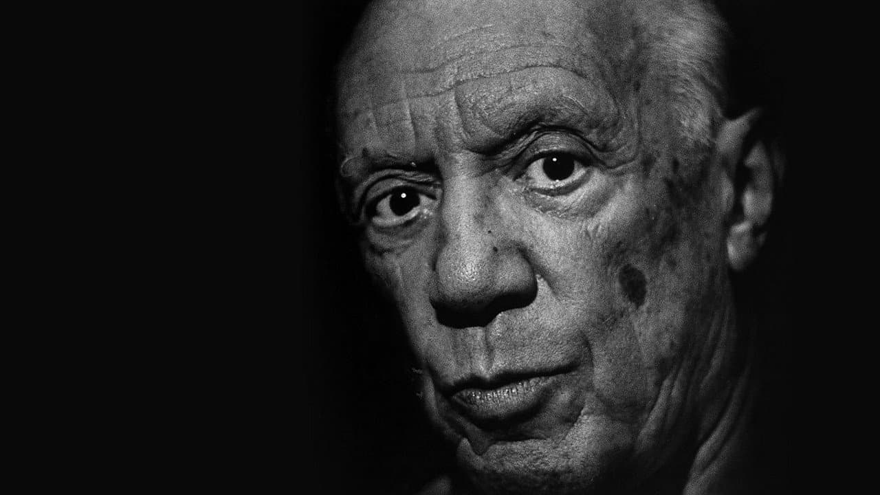 Picasso's Last Stand - immagine